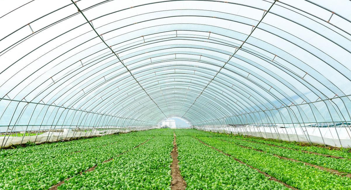 農業電加熱帶 農業電加熱帶